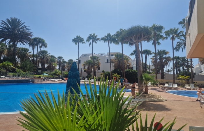 Las Americas - El Dorado